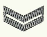 Фотография Пшеная Артёма