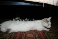 Фотография Гущихиной Любови