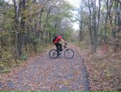 Фотография Серебрянского Александра