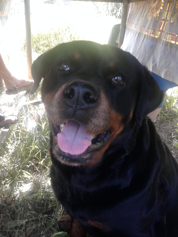 Георгий Тоушкин фотография #29