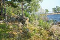 Вадзім Урублеускі фотография #36 (источник - https://vk.com/id14968982)