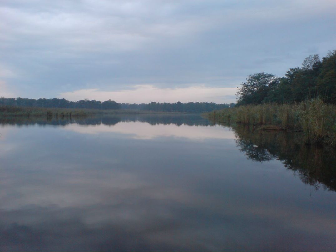 Павел Пашенко фотография #24