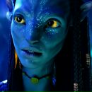 Comtesse Calinerie фотография #8 (источник - https://vk.com/id50283642)