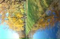 Фотография Колесниковой Полины