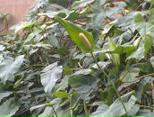 Світлана Савіцька фотография #30 (источник - https://vk.com/id91957355)