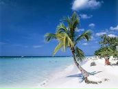 Фотография Васильченко Татьяна