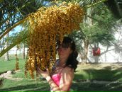 Фотография Ткачёвой Елены