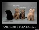 Фотография Лысова Руслана