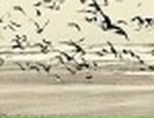 Іра Тодосійчук фотография #46 (источник - https://vk.com/id138059221)