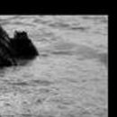 Натакент!!!_)))))))))))))) Ха!!!!!!!!!))))))))))) фотография #12 (источник - https://vk.com/id148146842)