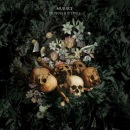 Фотография Добрынин Матвей