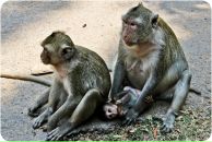 Фотография Матюхина Константина