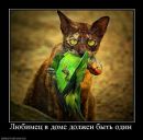 Володя Семенків фотография #1