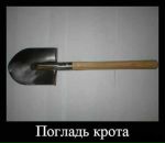 Фотография Фамилии Георгия