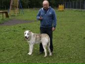 Фотография Петия Вадима