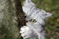 Фотография Балалаевой Анастасии