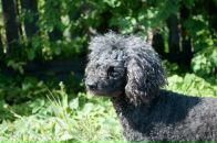 Фотография Макариной Ксении