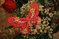 Фотография Деминой Светланы