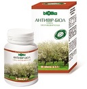 Біоліка ! фотография #30 (источник - https://vk.com/id144339933)