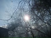 Фотография Гапеева Алексея