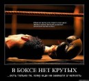 Ярік Маньковський фотография #2 (источник - https://vk.com/id56592047)