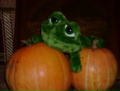 Фотография Сологубовой Марии