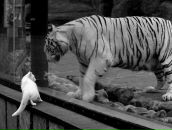 Фотография Жигаловой Дарьи