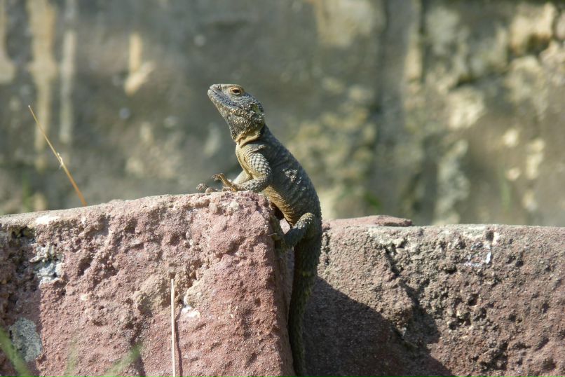 Михаил Грачев фотография #12