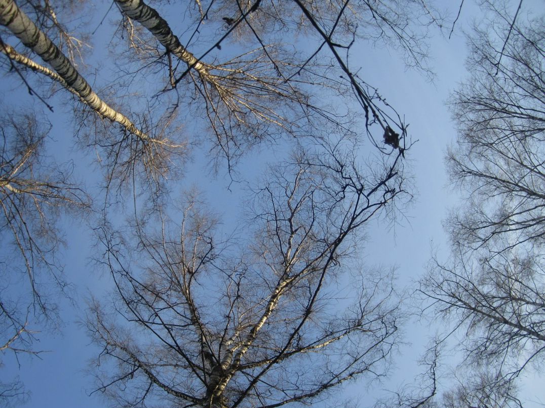 Дмитрий Козлов фотография #47
