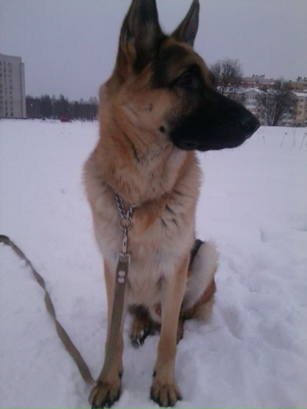 Андрей Кубышкин фотография #39