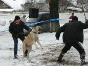 Володимир Павлік фотография #34 (источник - https://vk.com/id140487540)