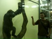 Фотография Сорокина Сергея