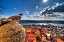 Ercan Dastan фотография #47 (источник - https://vk.com/id83481330)