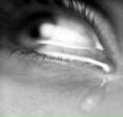 Фотография Звездочки Три