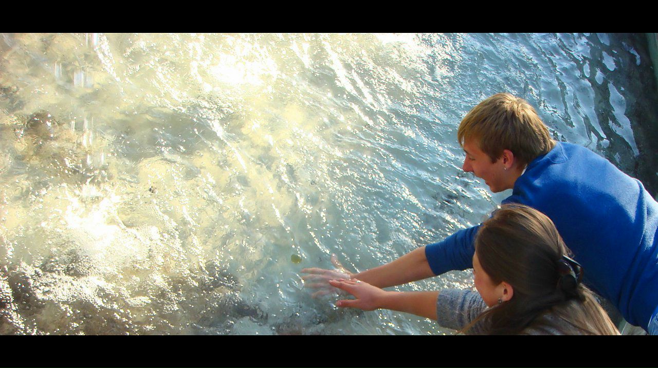 Artyom Gusev фотография #20