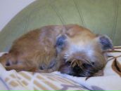 Фотография Юрченко Ивана