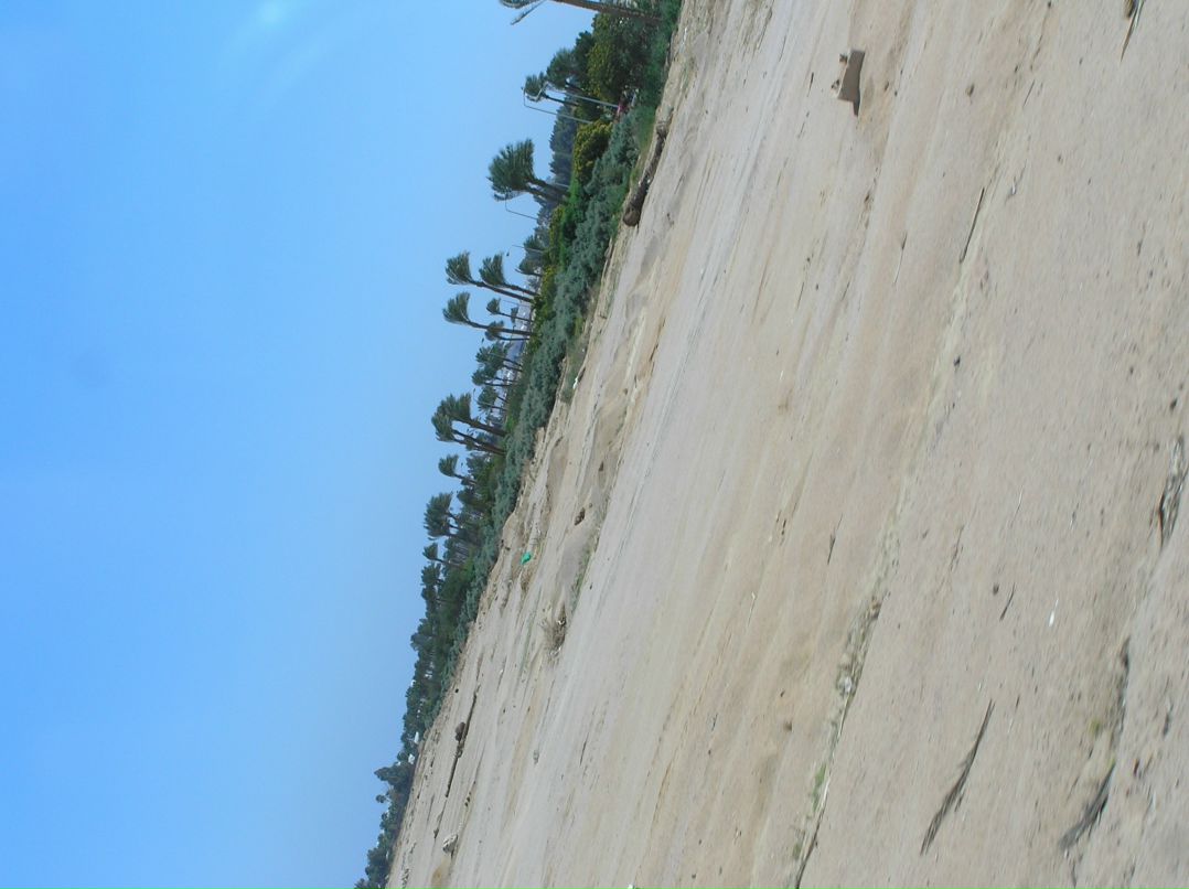 Виктор Бышкин фотография #35