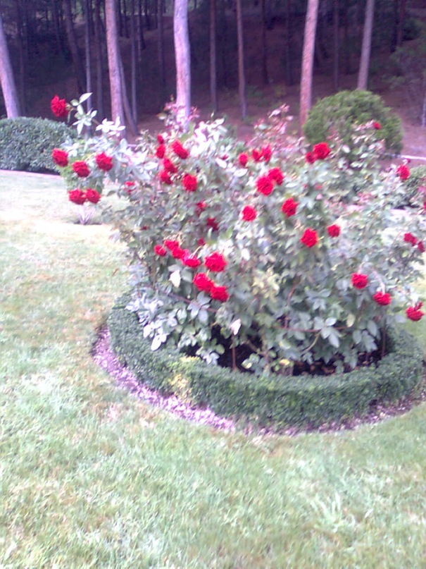 Инна Бреус фотография #50