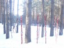 Віталік Яценко фотография #26 (источник - https://vk.com/id74965320)