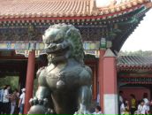 Илья Лычагин фотография #26 (источник - https://vk.com/id225448)