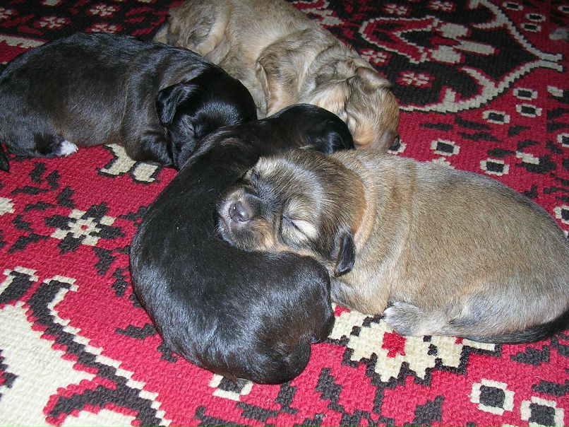 Дмитрий Бурлаков фотография #23