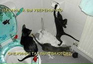 Лєна Маїло фотография #48 (источник - https://vk.com/id105605263)