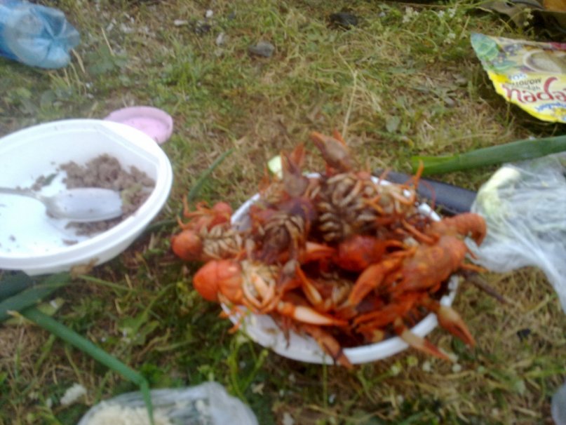 Шамиль Ахметсафин фотография #14