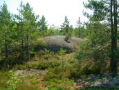 Симас Бумша фотография #28 (источник - https://vk.com/id616533)