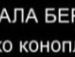 Славік Трофимлюк фотография #16 (источник - https://vk.com/id16390422)