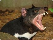 Ivan Ivan фотография #12 (источник - https://vk.com/id1365728)