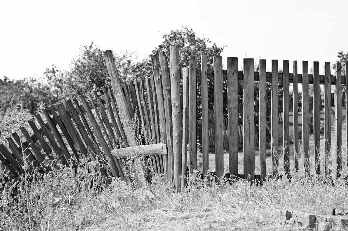 Дмитрий Быков фотография #44