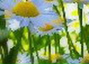 Веронічка Лущай фотография #11 (источник - https://vk.com/id162186249)