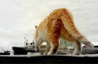 Фотография Шалыгина Дмитрия