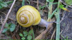 Маряна Сокіл фотография #47 (источник - https://vk.com/id8316949)